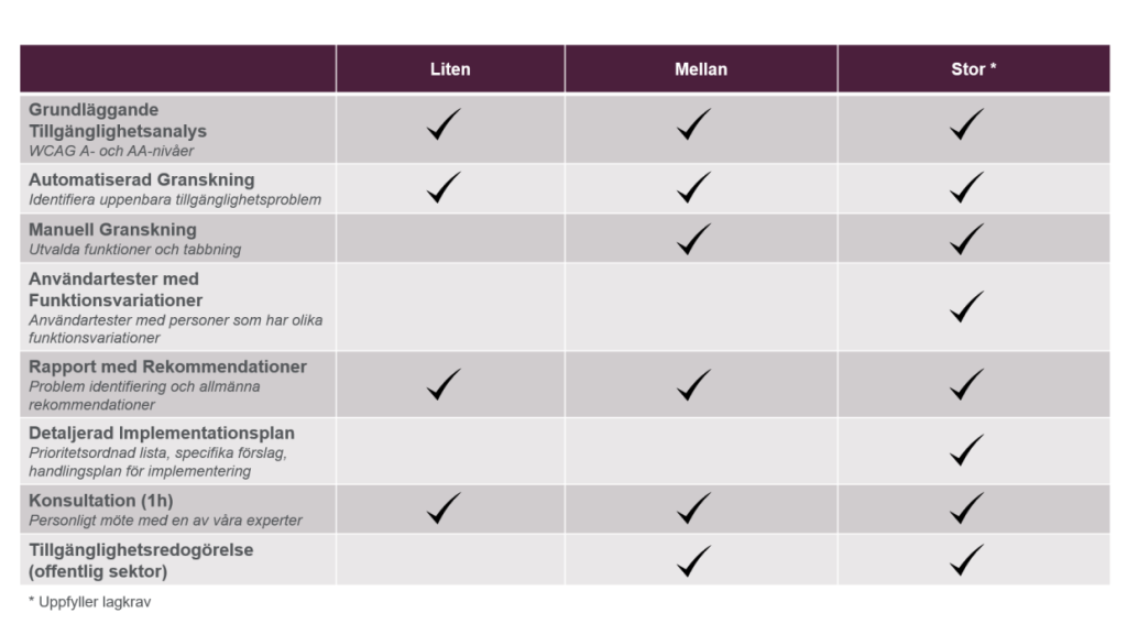 Softronic accessibility audit offer