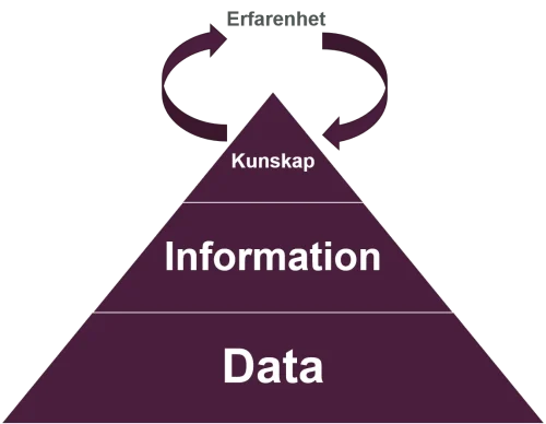 pyramid med information